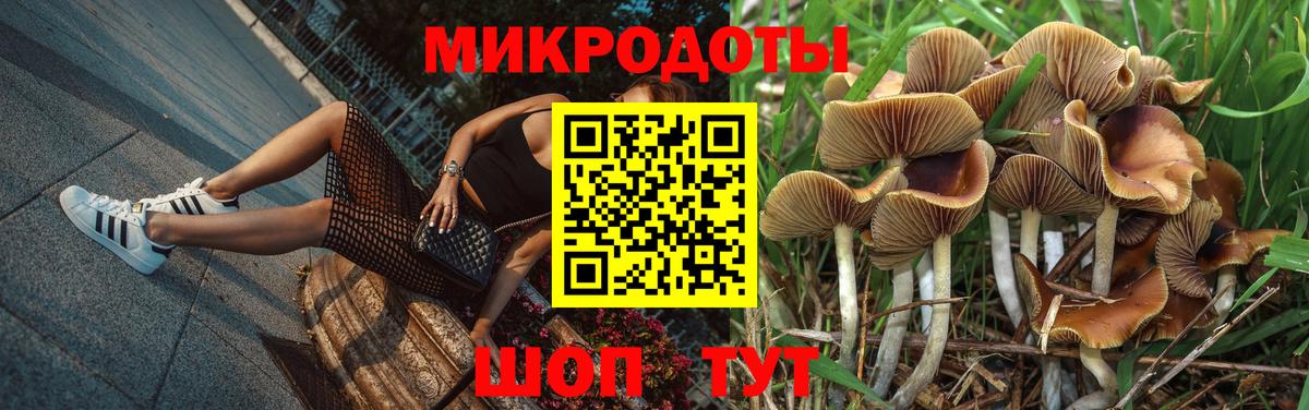 Волгоград  Псилоцибиновые грибы Magic Shrooms  Вход с VPN 